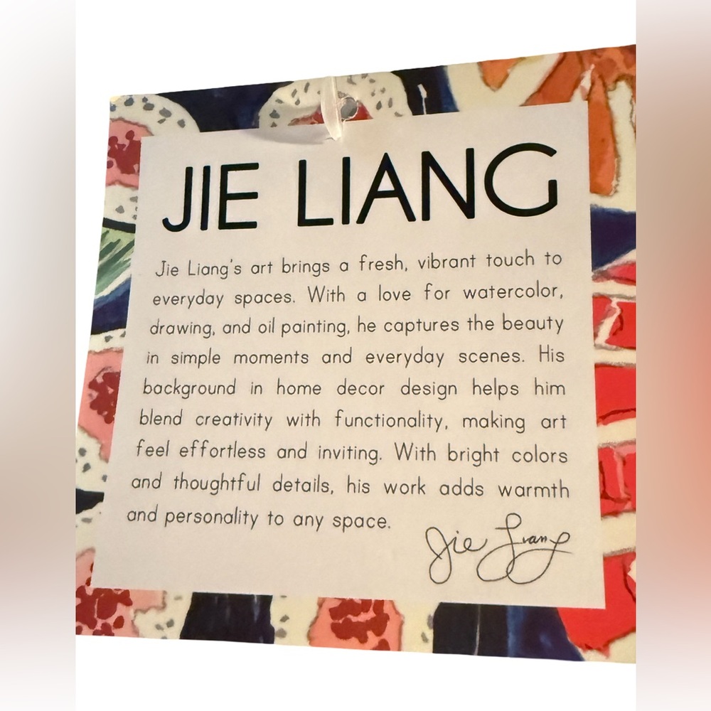Jie Liang NWT Colorful Sushi Velour Embroidered Rectangular Accent Pillow - Picture 3 of 10